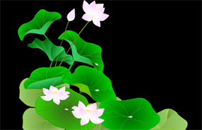 风吹荷花flash素材下载